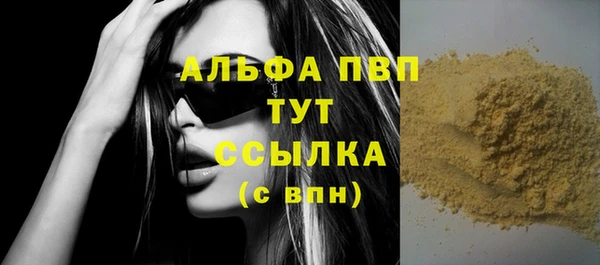 spice Богородицк