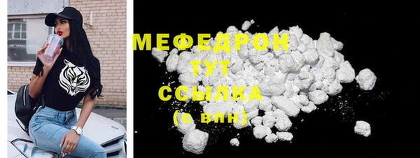 spice Богородицк