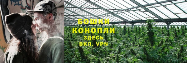 spice Богородицк