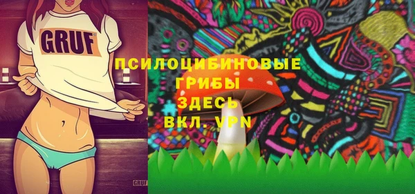 spice Богородицк