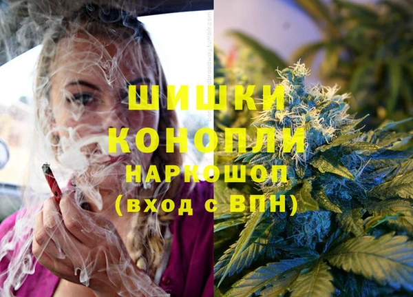 трава Богданович