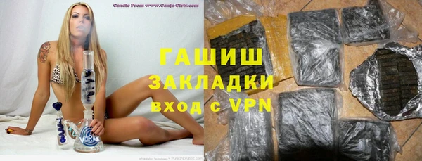 spice Богородицк
