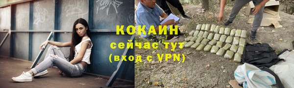 spice Богородицк
