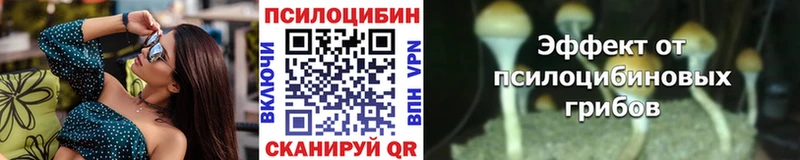 гидра ONION  Ильский  Псилоцибиновые грибы ЛСД 